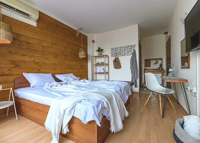 The Monkee * Свети Влас